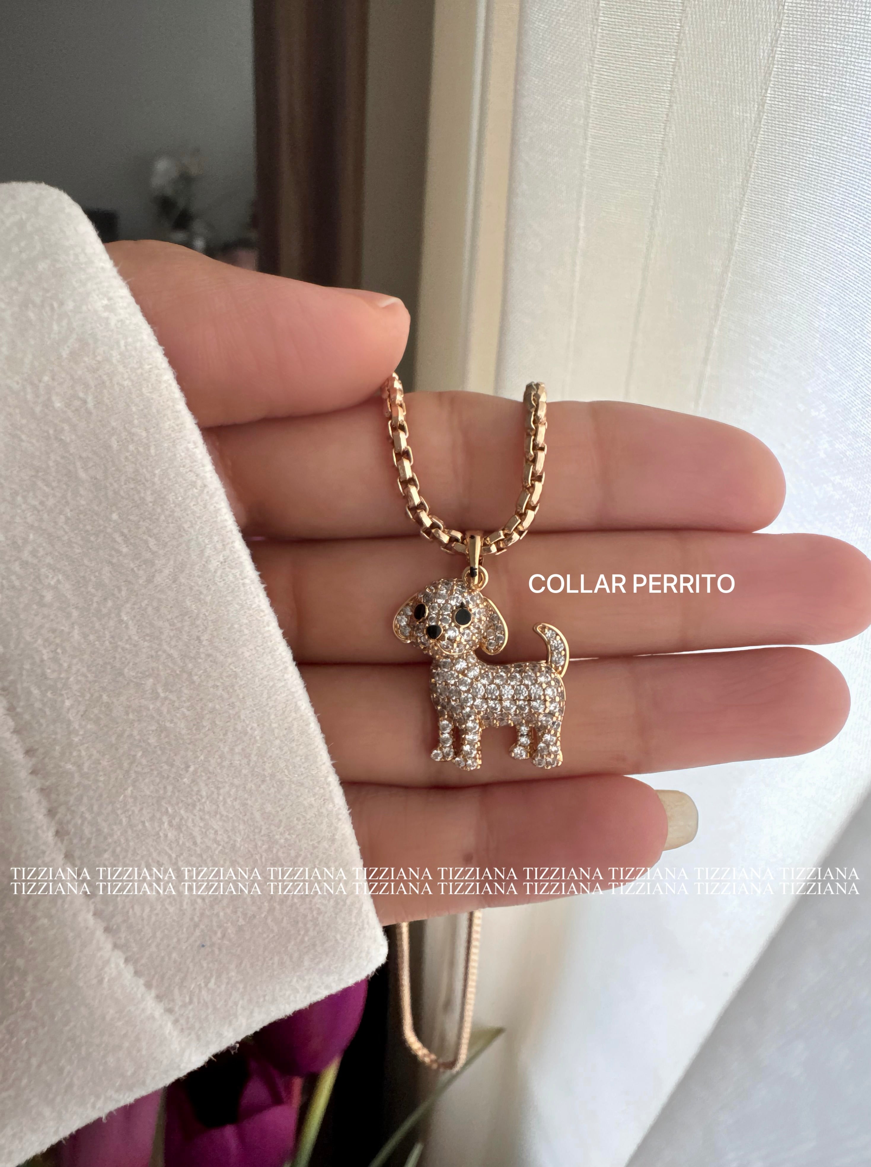 COLLAR PERRITO