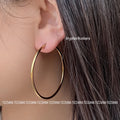 ARGOLLAS RUMBERA