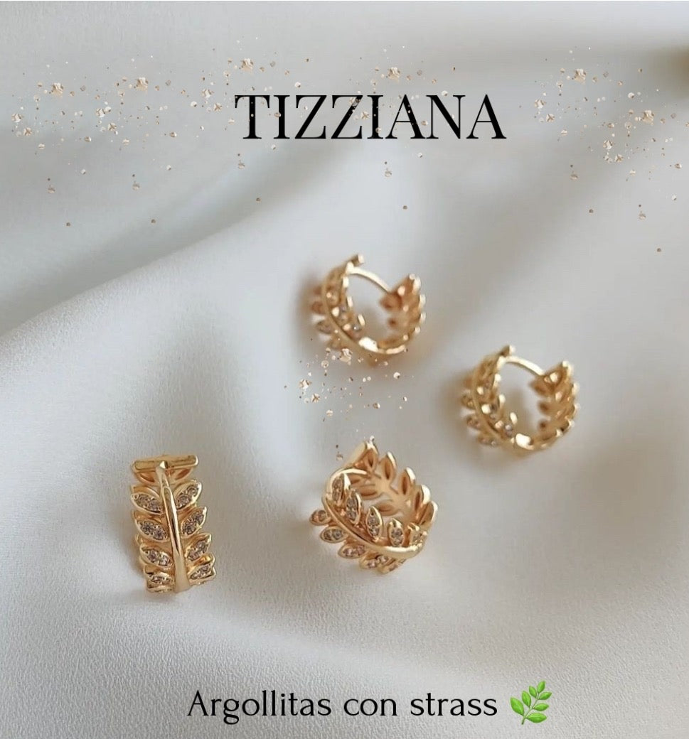 ARGOLLITAS ESPIGA