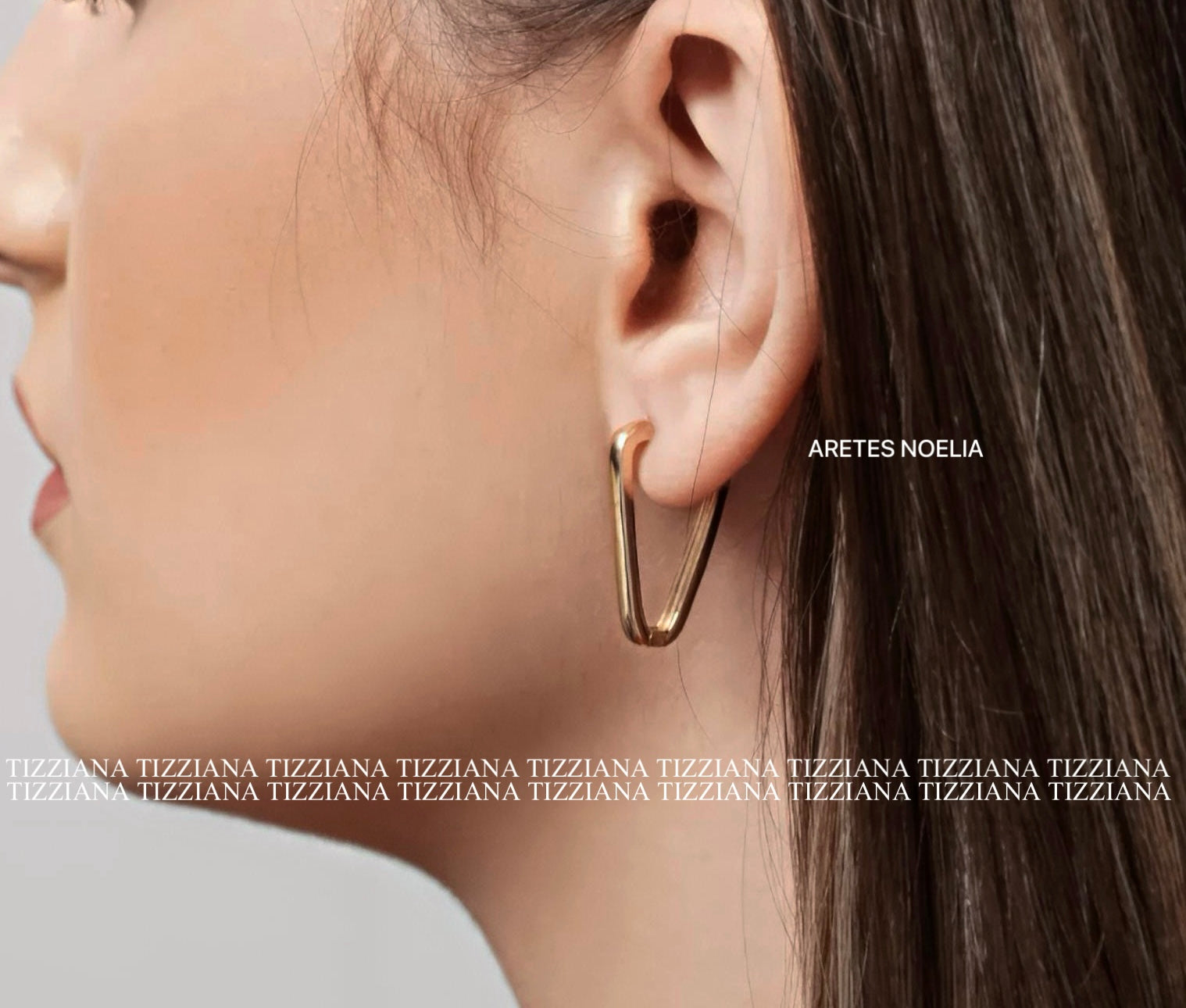 ARETES NOELIA