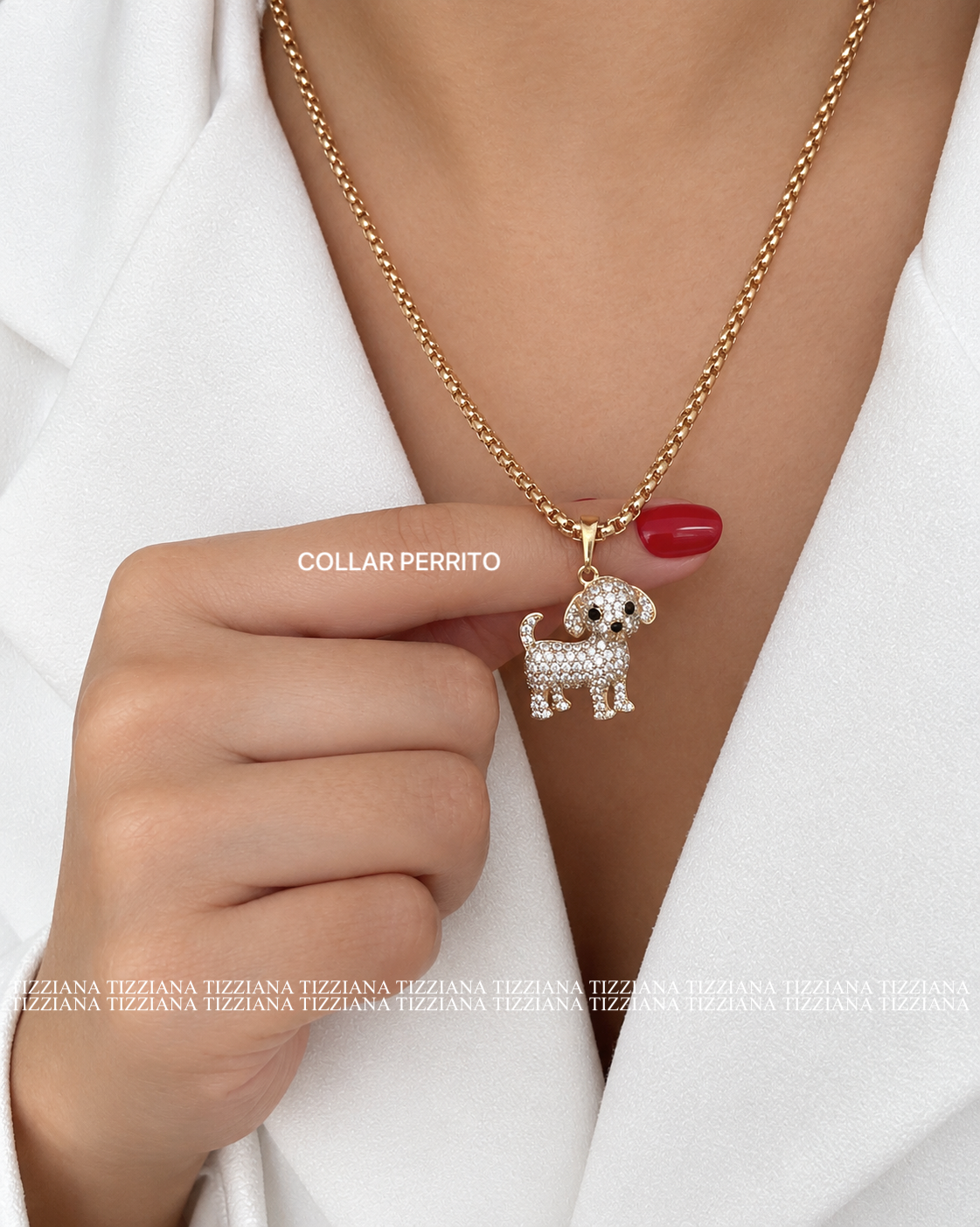 COLLAR PERRITO