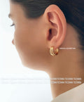 ARGOLLAS BRITANI