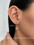 ARETES COLGANTE ESTRELLA DE MAR